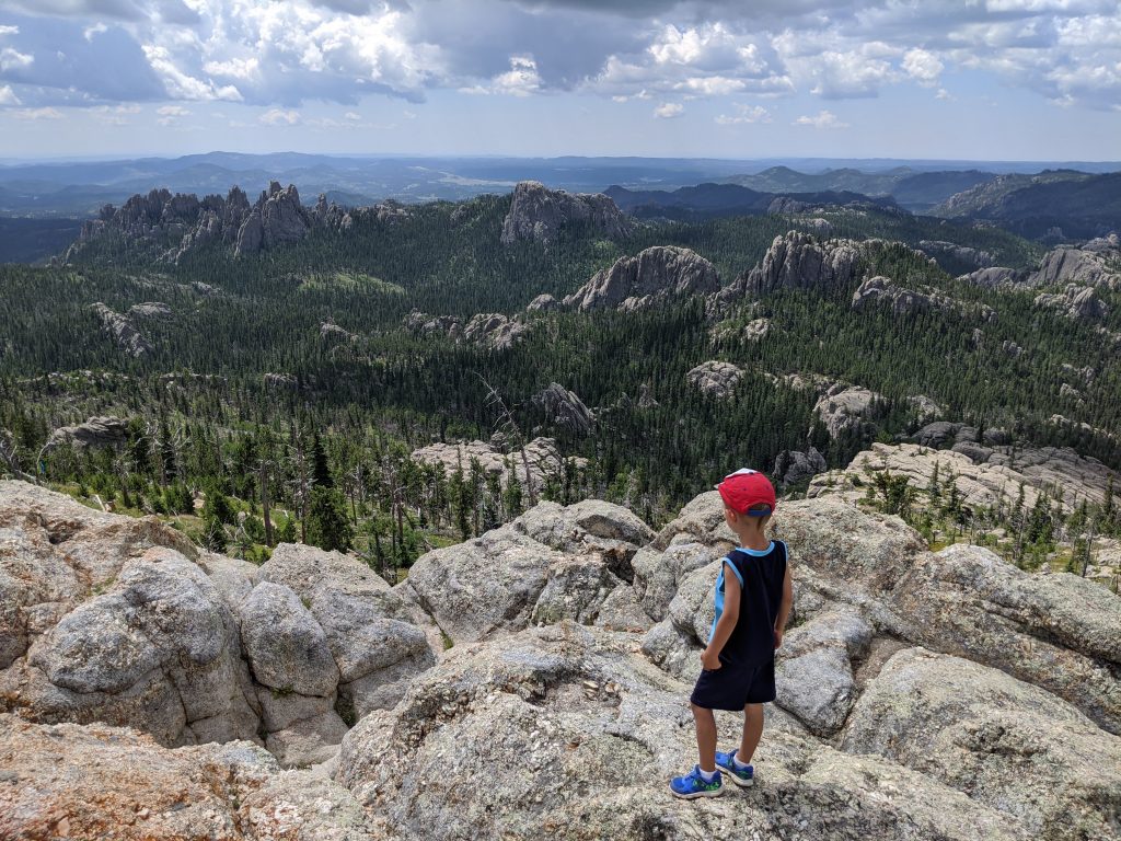 View from Black Elk Peak