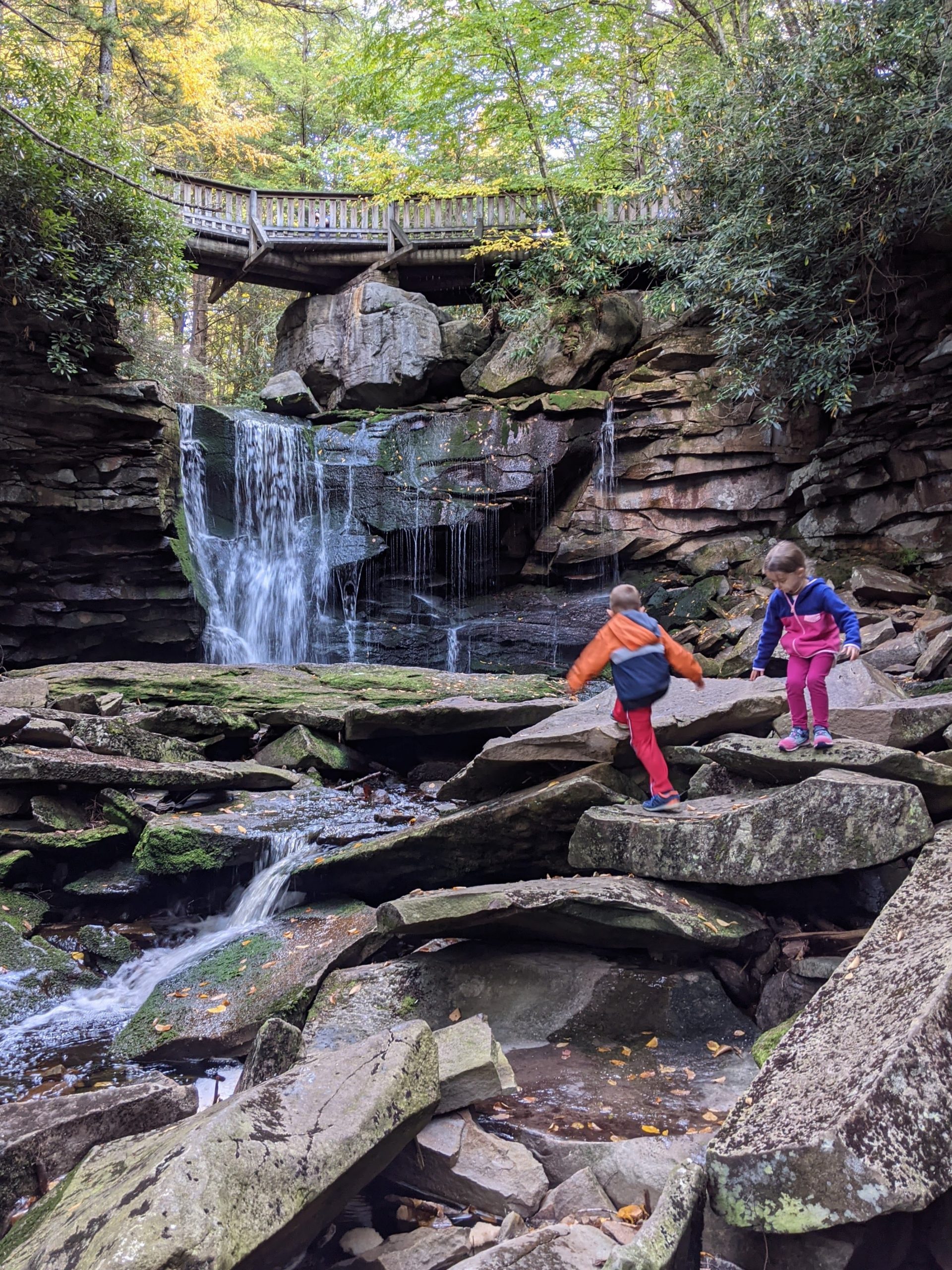 Blackwater Falls, Seneca Rocks, and Nelson Rocks in 4 Days
