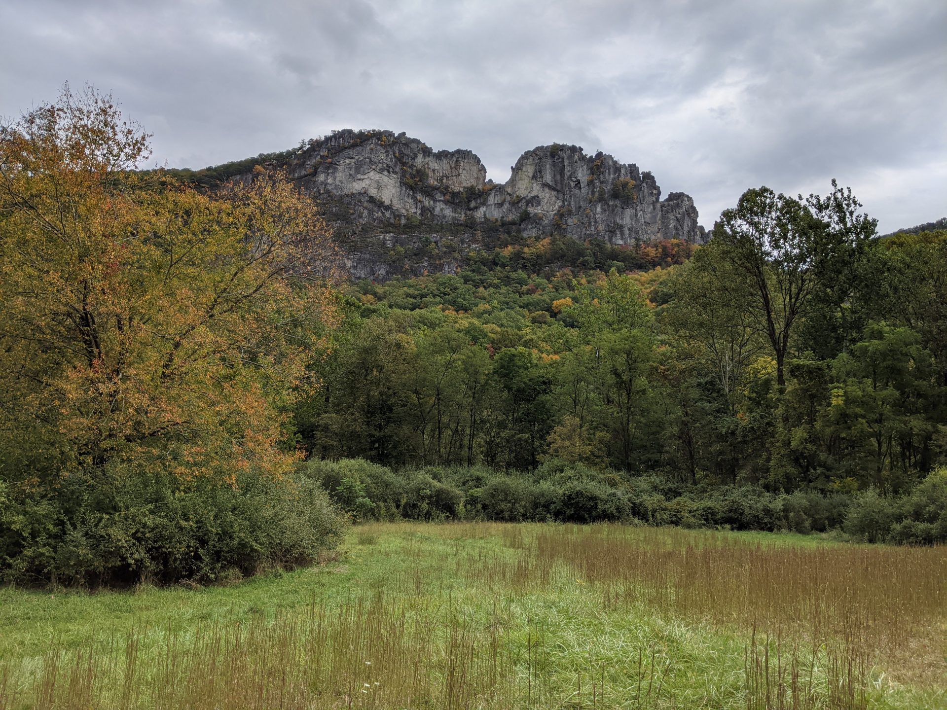 Blackwater Falls, Seneca Rocks, and Nelson Rocks in 4 Days