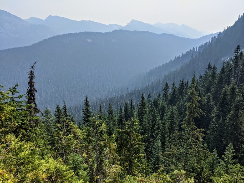 Wildfire smoke affecting the view