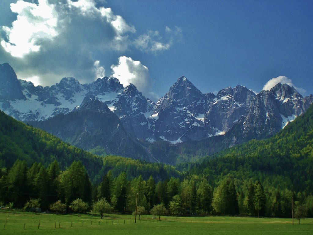 Jagged mountain peaks behind trees and grass in Slovenia