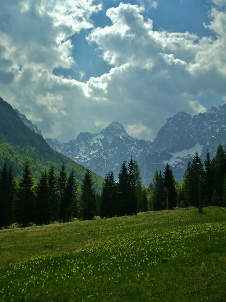 A meadow with mountains in the background in the Julian Alps