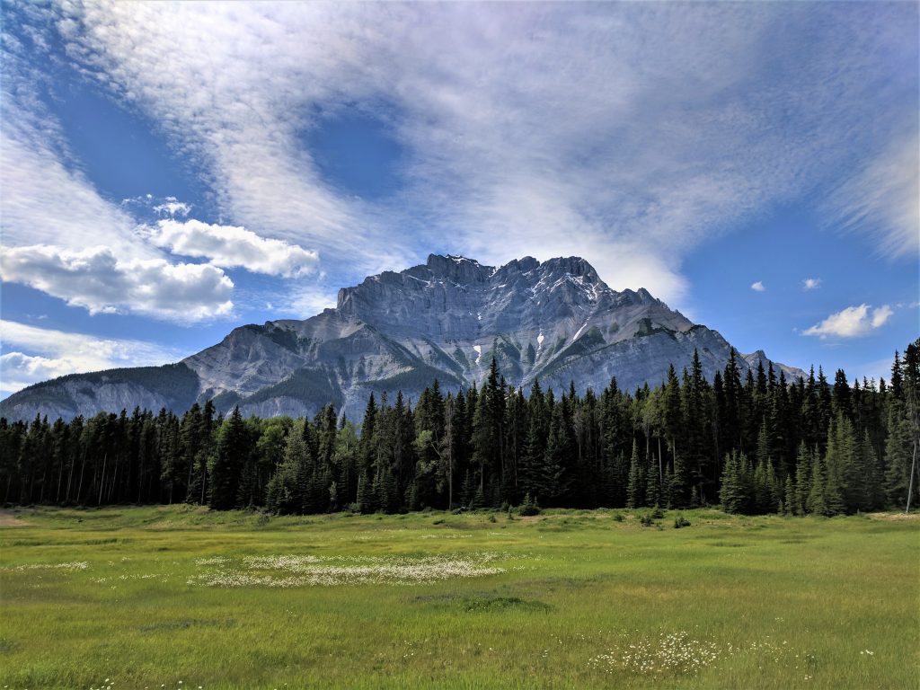 A large mountain outcropping with pine trees and grassy field in the foreground