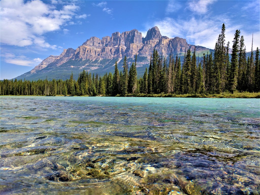 A symmetrical mountain with pine trees and a glacial stream in the foreground