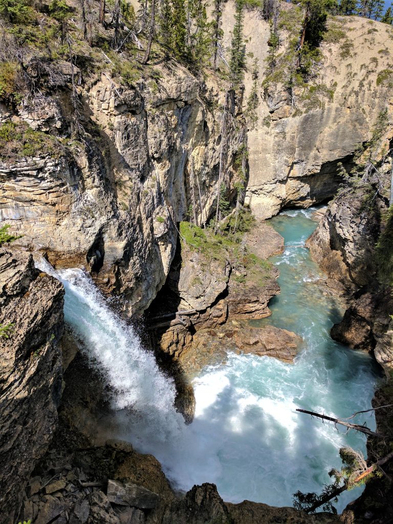 A waterfall plunging down into a canyon along Beauty Creek in the Canadian Rockies