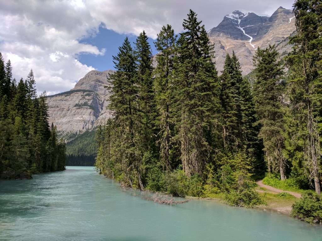 A glacial stream surrounded by pine trees and mountains