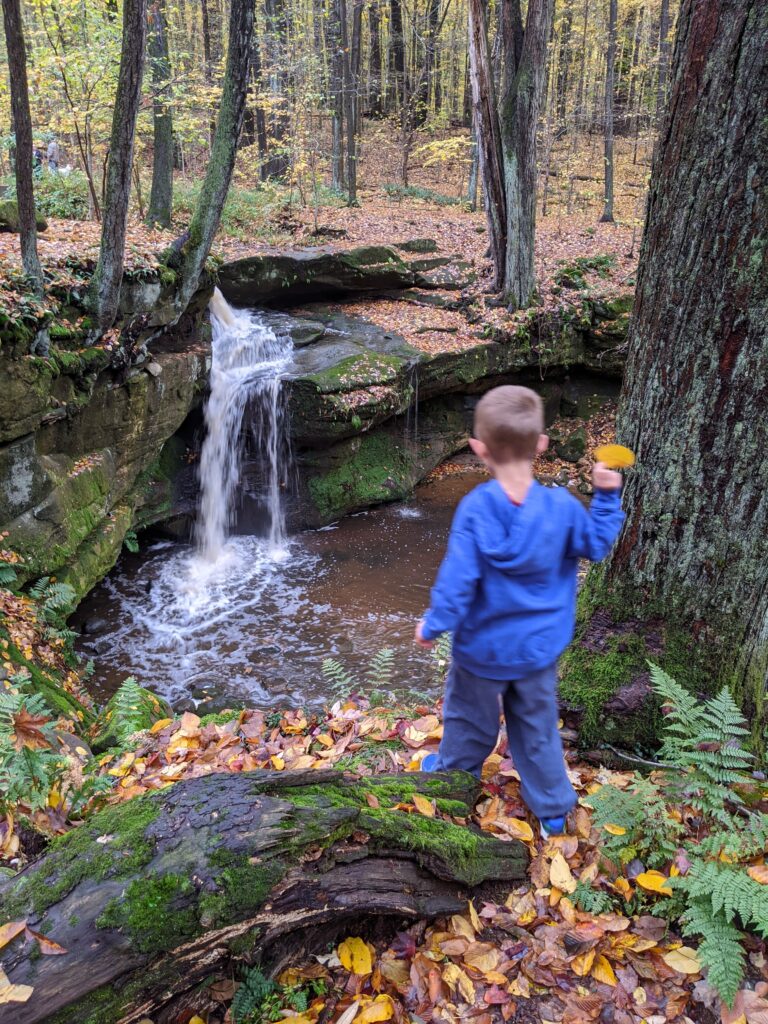 A young child overlooking Affelder Falls in autumn