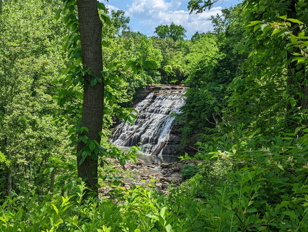Mill Creek Falls in summer