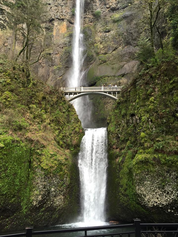 Multnomah Falls in Oregon