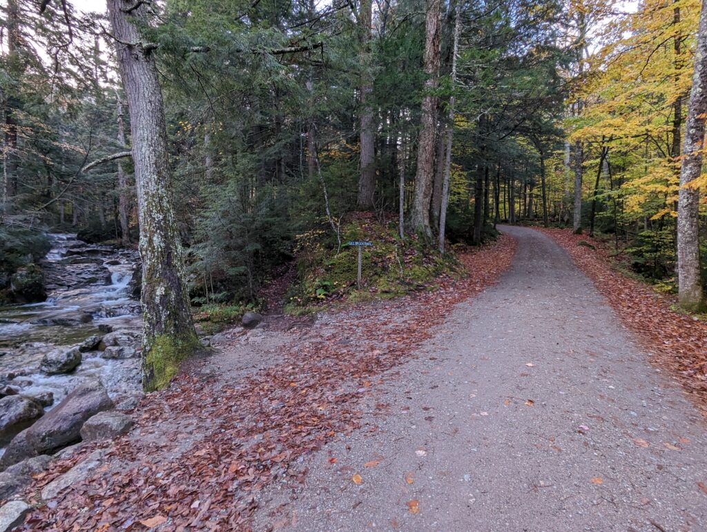 Lake Road and Gill Brook Trail intersection in the Adirondack Mountain Reserve