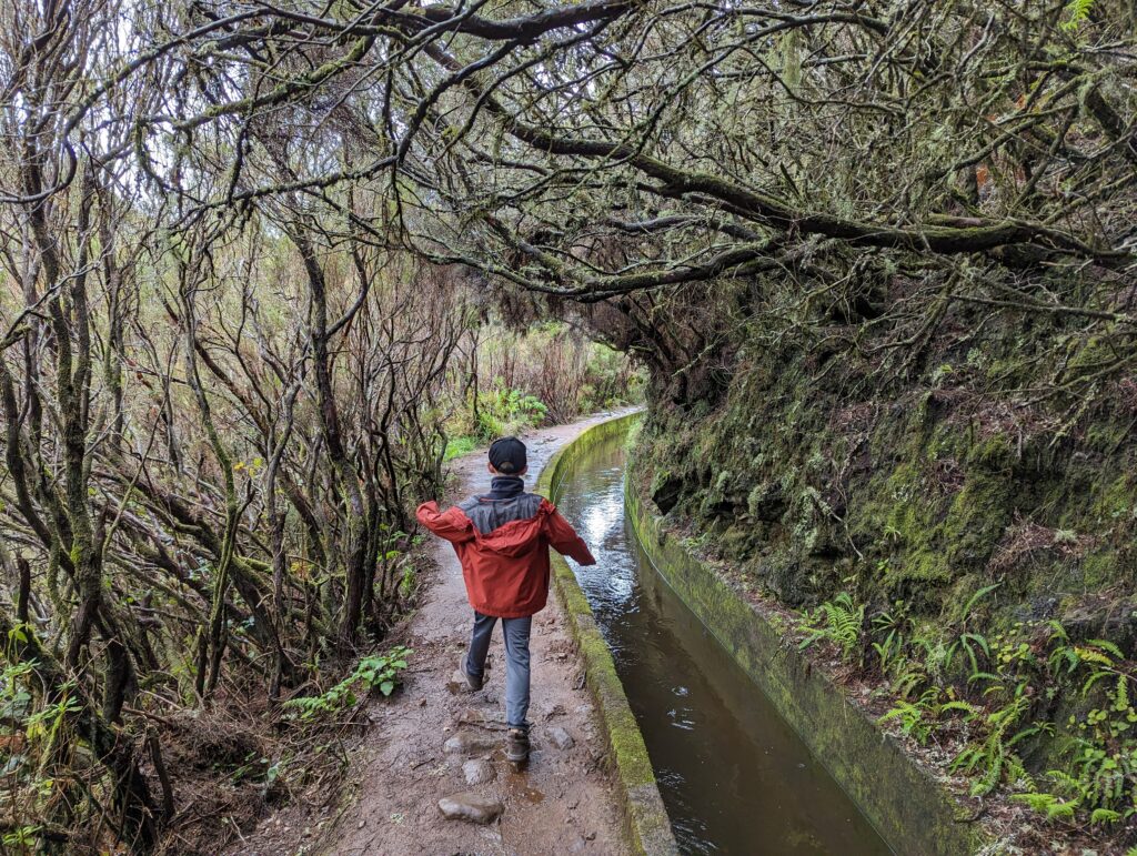 A boy walking along a tree-covered levada path on Madeira, Portugal