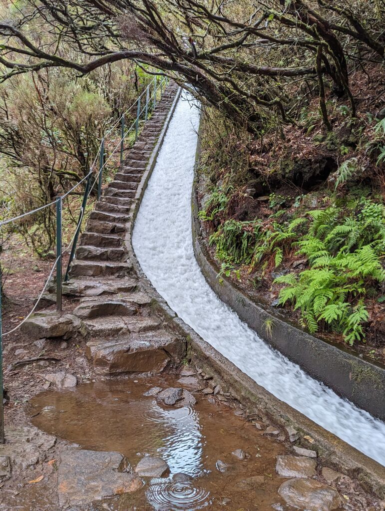 Water rushing down a hill next to a staircase along the Levada do Alecrim trail on Madeira