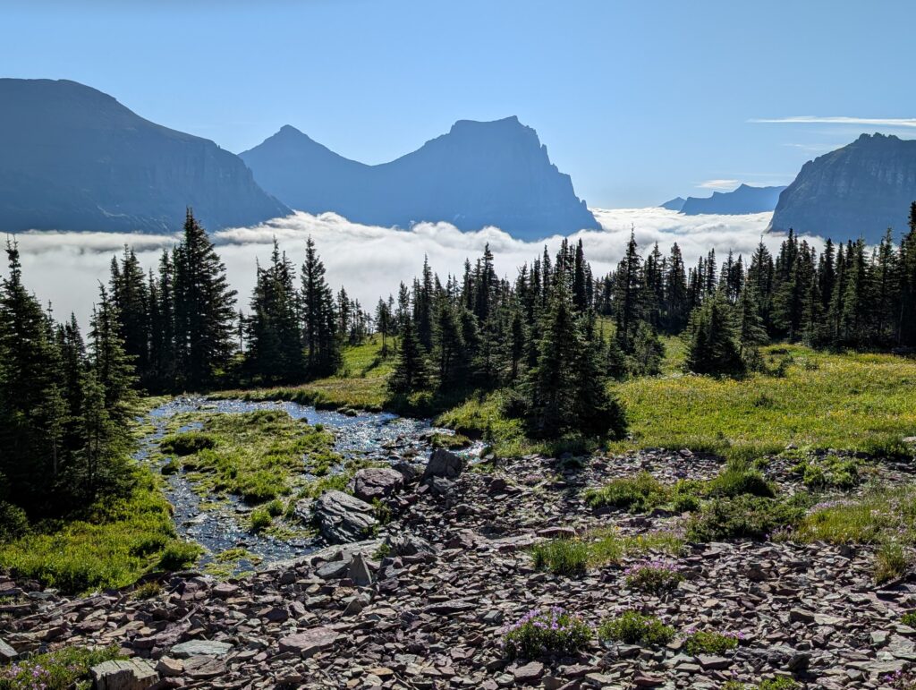 Mountaintops sticking out above clouds with trees and rocks in the foreground