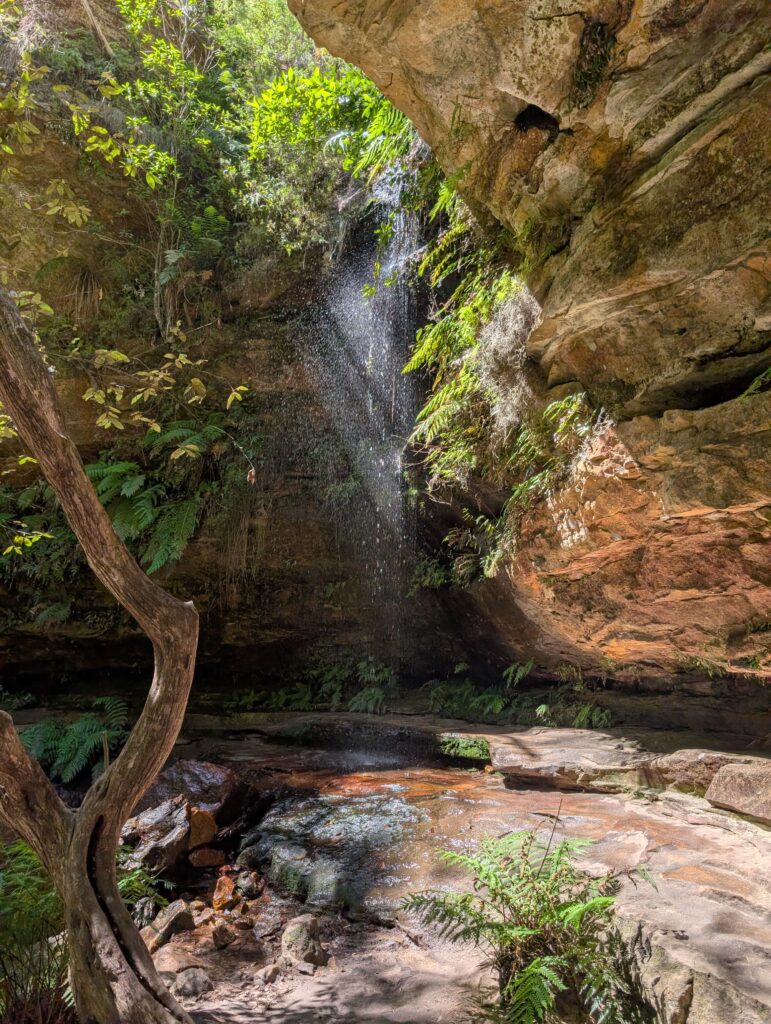 A faint waterfall in the light drips off a high rock face with a twisted tree in the foreground