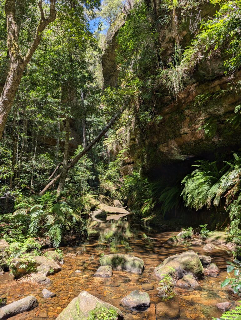 Rocks in the water with lots of trees and high cliffs 
