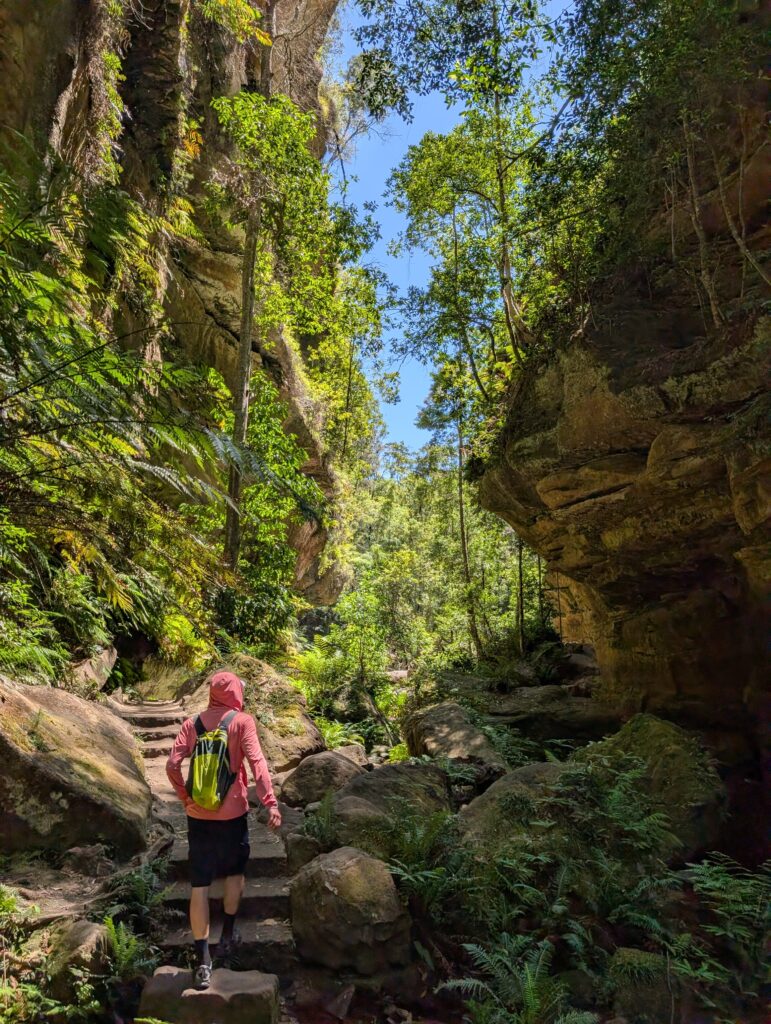 A man climbing a stone staircase with cliffs and trees all around