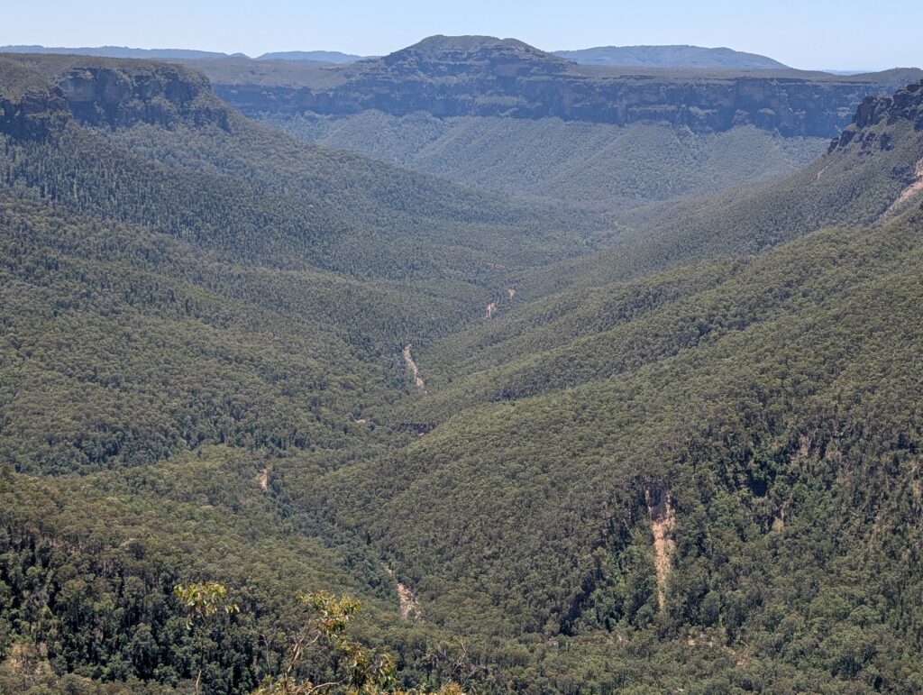 A squiggly river runs through the bottom of a green canyon