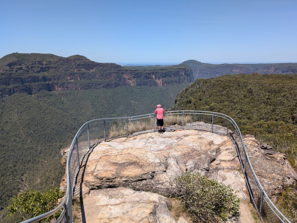 A man standing at the edge of a railing overlooking a green canyon