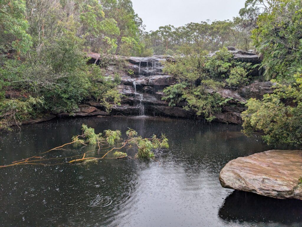 A smaller, trickling waterfall leading to a pool of water with a dead tree and large rock in it