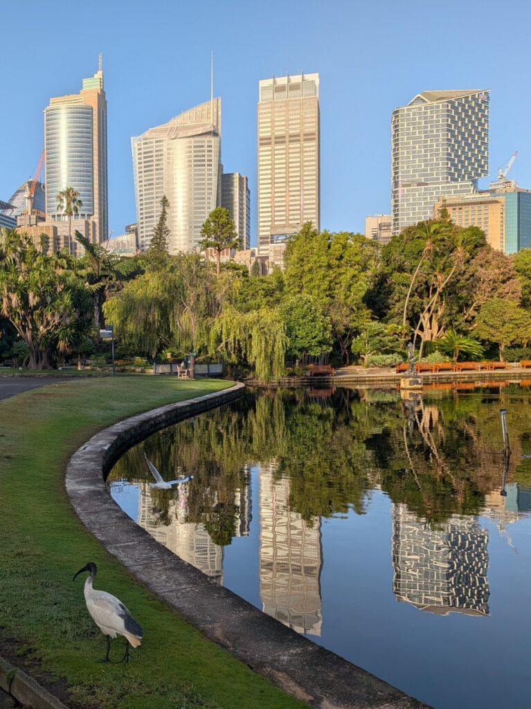 Several buildings reflected in a pool of water with a white bird in the foreground