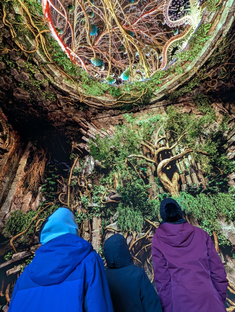 Three people looking up at a screen with trees and roots all around