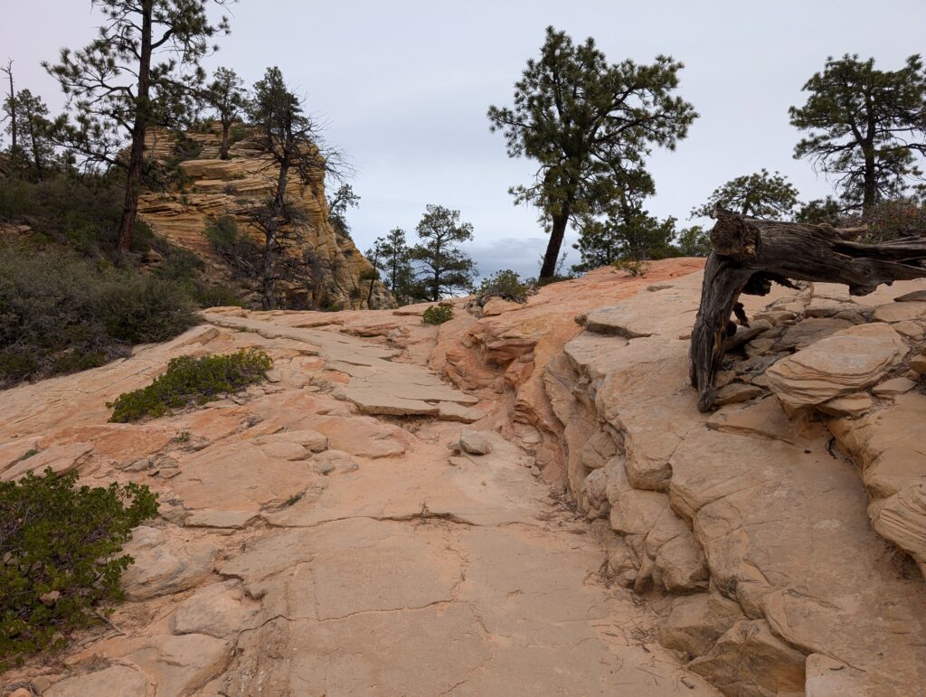 A rocky hiking trail curves to the left with a couple sparse trees in the background