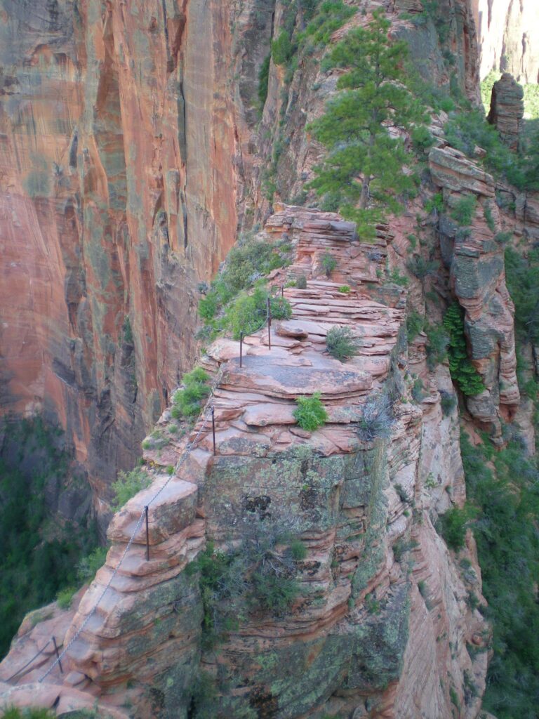 A narrow hiking trail leads up a steep ridge with a few trees