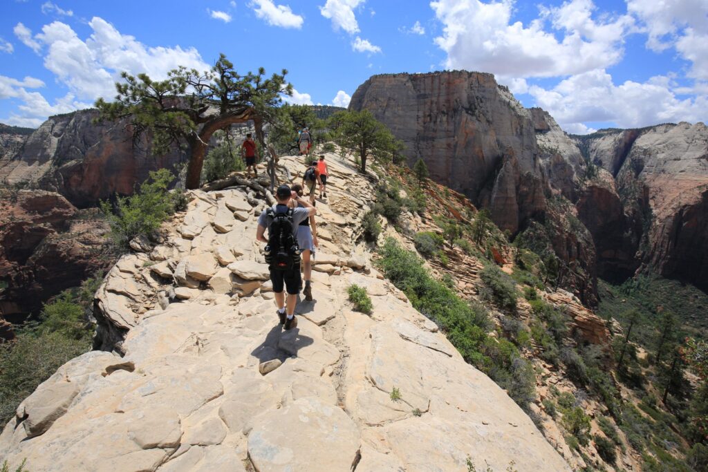 Hikers walking along a rocky path with a few trees on the sides