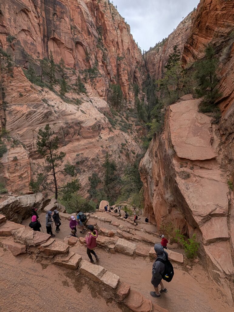 Hikers heading down tight switchbacks with an orangish canyon in the background