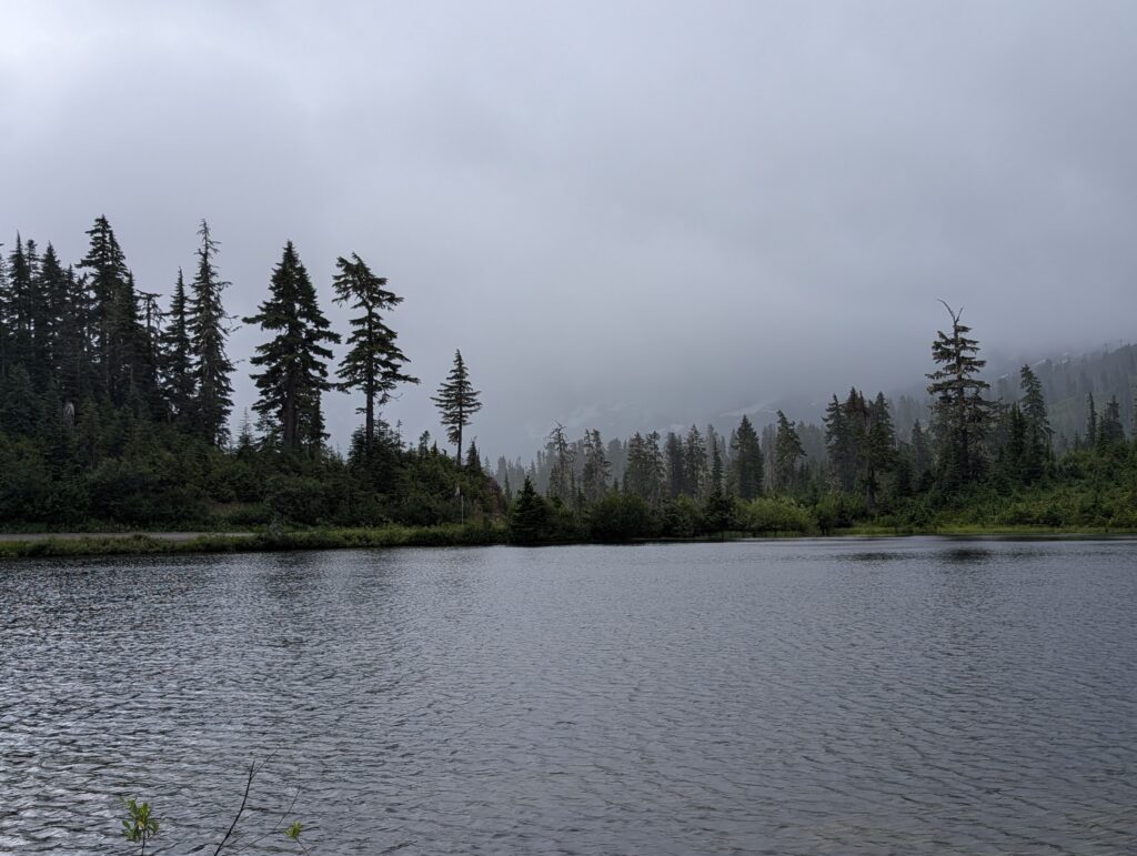 A body of water with several trees and complete cloud coverage in the background.