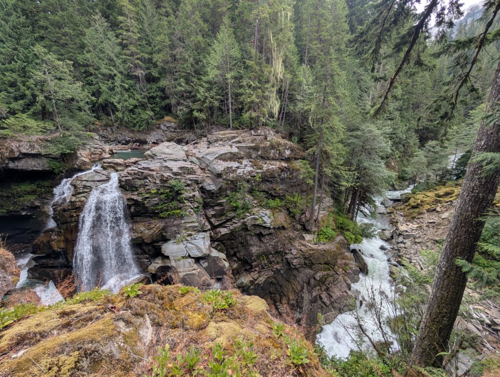 A rocky and treed landscape with a small waterfall and stream