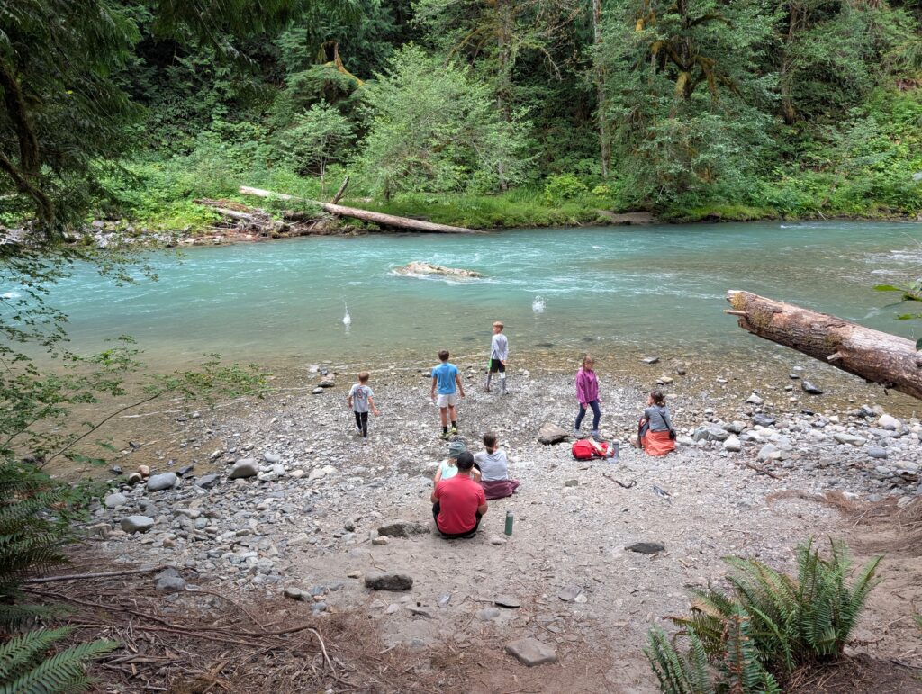 Young kids throwing rocks into a green river with