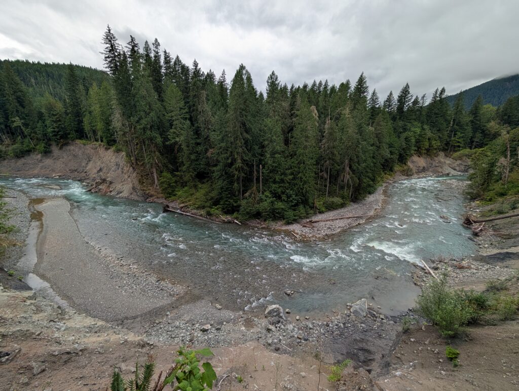 A bending green river winding around a group of trees on a cloudy day
