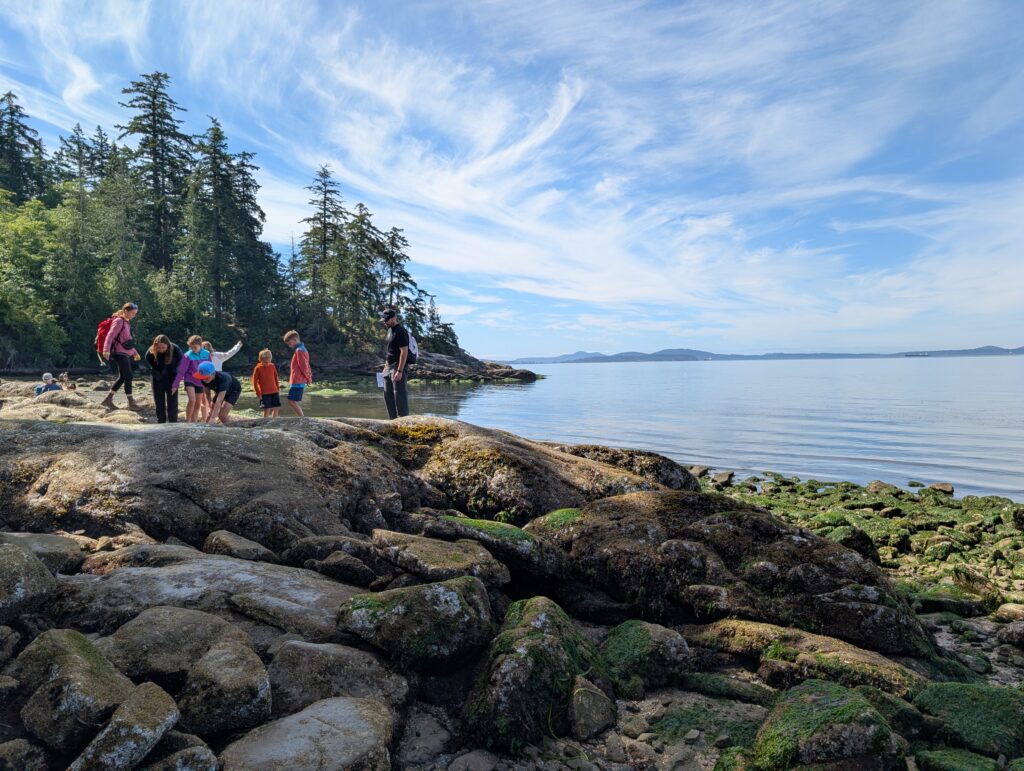 A group standing on rocks looking at something on the ground with water and trees behind them