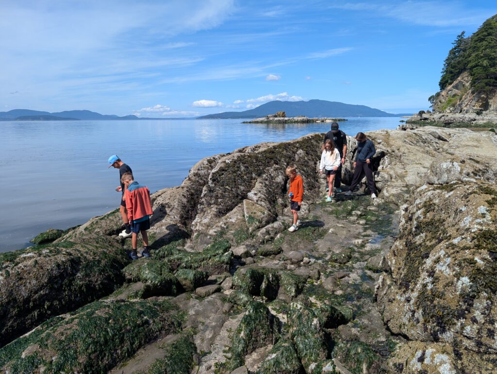 A group walking on rocky terrain next to a large body of water
