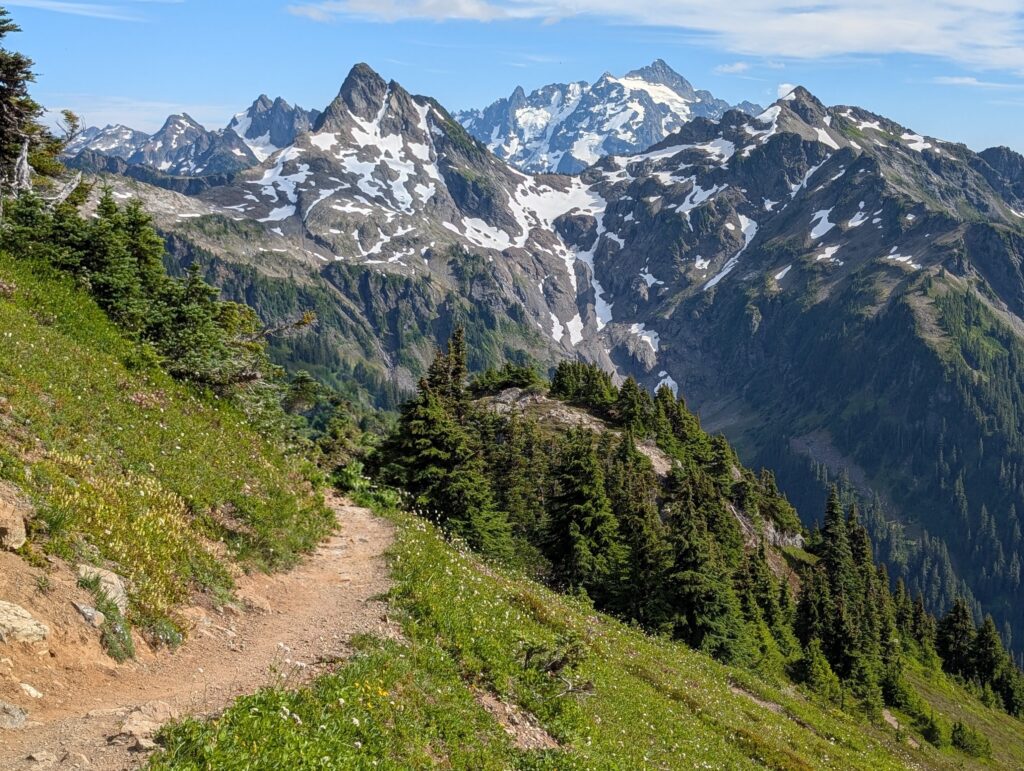 Snow-capped mountain peaks with trees, grass, and a dirt hiking path in the foreground