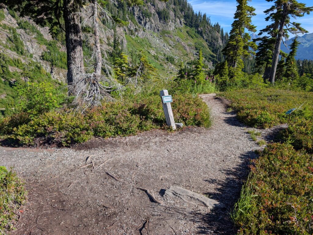 A dirt hiking trail intersection with a posted sign