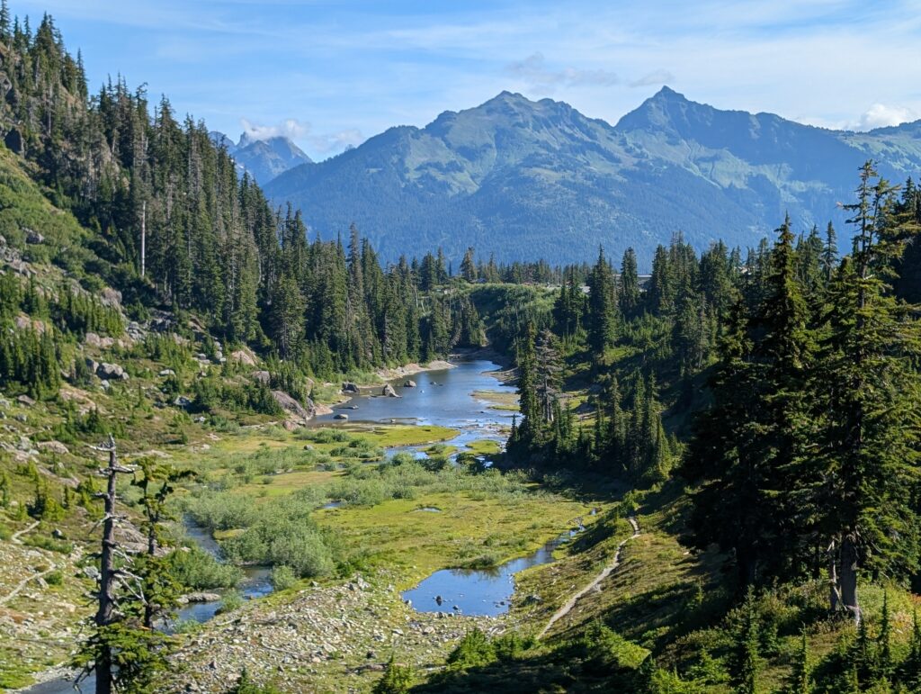 Several small bodies of water surrounded by trees with green mountains behind them