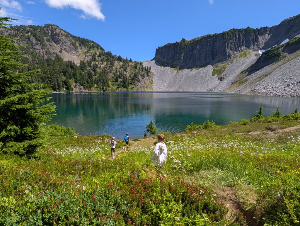Several kids walking along a path through high flowers towards an alpine lake