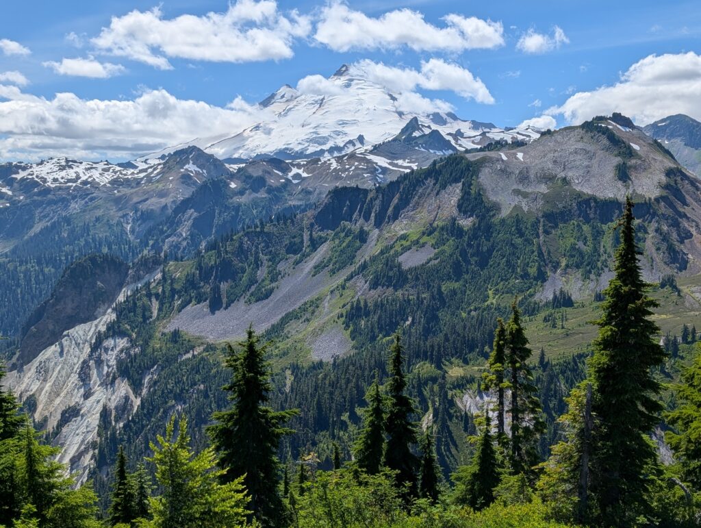 Mt. Baker rising prominently above a forest near Artist Point