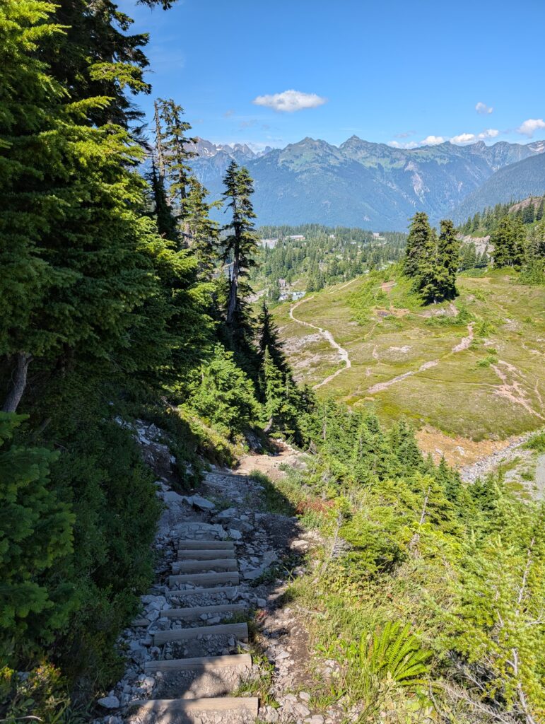 An outdoor staircase with large trees on one side and mountains on the other